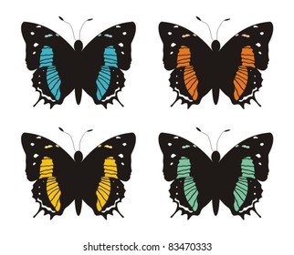 Coloured butterfly