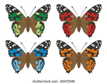 Coloured butterfly