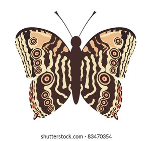 Coloured butterfly