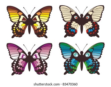 Coloured butterfly