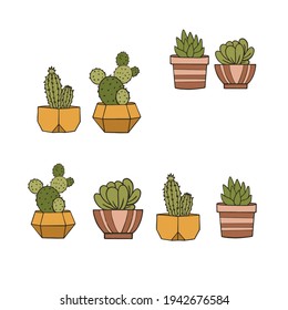 orden de los cactus coloreados