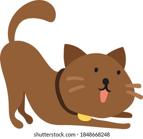 Retrato de gato de color Arte vector