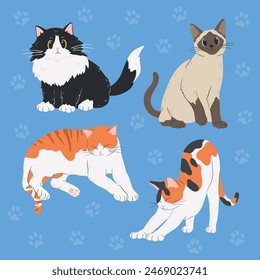 Coloured cats collection. Cartoon cute fluffy kitties. Vector illustration isolated on blue background set.