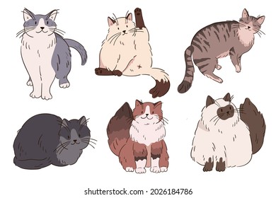 Coloured cats collection. Cartoon fluffy kitties. Kittens vector illustration collection.