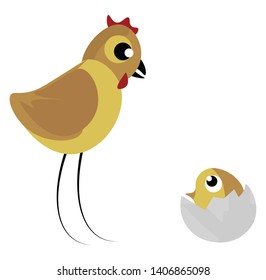 A coloured drawing of a hen looking at a chicken hatching from the egg., vector, color drawing or illustration. 