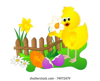 Coloured Easter eggs and the yellow chick