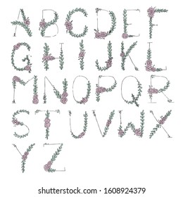 Coloured Floral Botanical Letter Illustrations of the English Alphabet A-Z Beautiful Handwriting Artwork Vector Drawing