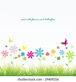 coloured flowers with butterflies