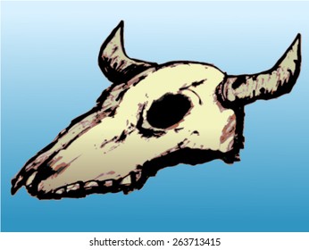 Coloured illustration of cow skull