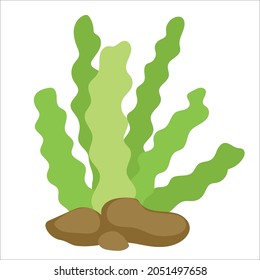 coloured sealife elements collection vector