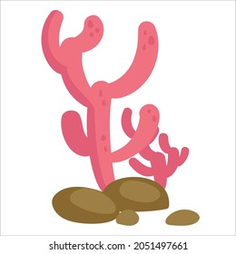 coloured sealife elements collection vector