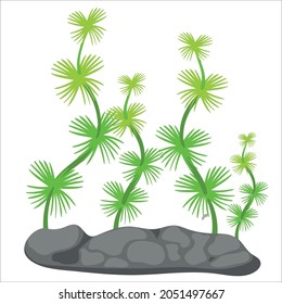 coloured sealife elements collection vector