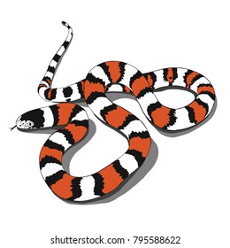 Coloured snake illustration vector.