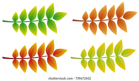 Colourful 3d ash leaves isolated on white background. Vector.