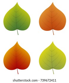 Colourful 3d linden leaves isolated on white background. Vector.
