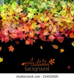 Colourful autumn background. There is place for your text at the bottom of the image.