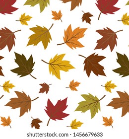 Colourful autumn leaves pattern isolated on white background