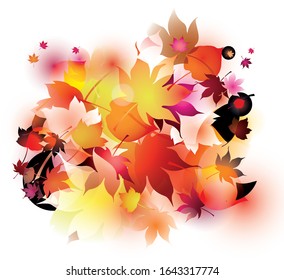 Colourful autumn leaves spring theme abstract  on white background 
