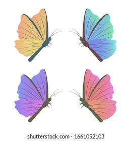 Colourful beautiful butterfly set isolated. Vector image