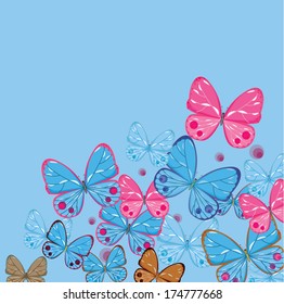 Colourful butterflies
