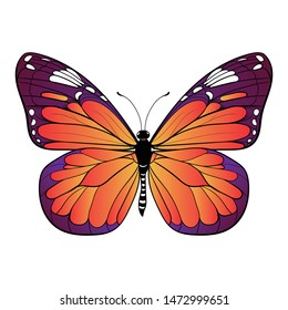 colourful butterfly on white background Vector art