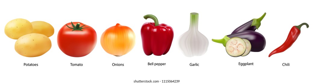 Colourful collection of vegetables on a white background in realistic style. Tomato, garlic, Bell pepper, potatoes, onions, eggplant, peppers. Sign, symbol, icon, logo. Vector eps10.