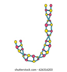 Colourful DNA Molecules Isolated Single Letter J Vector Art Design Illustration