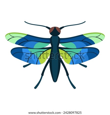 Colourful dragonfly insect flat style vector illustration