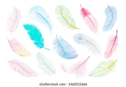 Colourful feathers vector collection, falling fluffy twirled feathers. design for wedding invitation card template and realistic style decoration.  