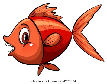A colourful fish on a white background