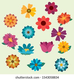 Colourful flat flowers  set illustration vector