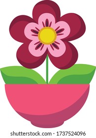Colourful flower in a pot	
