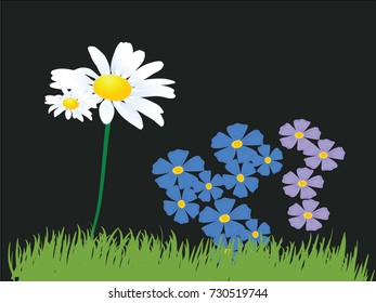 colourful flowers and green grass 