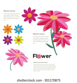 colourful fresh flower. infographic - vector illustration