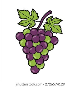 Diseño de Vector de ilustración de uvas coloridas