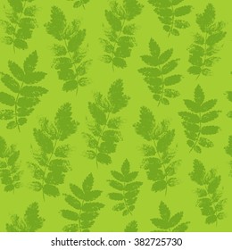 Colourful green summer and spring ash leaves bunch seamless pattern. Vector grunge design for cards, wallpapers, backgrounds and natural product.