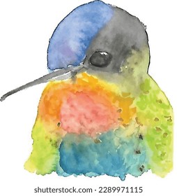 Colourful hand drawn Hummingbirds in watercolours