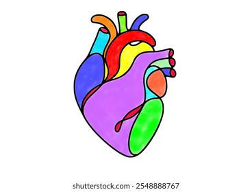 A colourful human heart illustration vector.