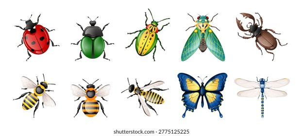 Colourful insects collection isolated  on transparent background. Realistic beetles set  with gradient texture. Top-down illustration. Vibrant insects. Macro detailed view. Vector illustration. 