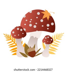 Colourful mushrooms in autumn forest