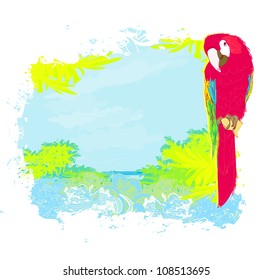  Colourful parrot bird sitting on the perch on the beach