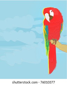 Colourful parrot bird sitting on the perch