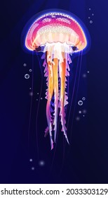 Colourful picture with jellyfish moving deep inside sea. Dark blue background. Vector graphic illustration