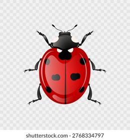 Colourful red ladybug with black spots isolated  on transparent background. Realistic ladybug with gradient texture. Top-down illustration. Vibrant insect. Macro detailed view. Vector illustration. 