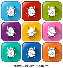 Colourful rounded buttons with bugs on a white background 