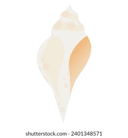 colourful seashell vector element for design purposes.beach elements editable vector that can be used for various purposes.vector graphic conch,shells for design. illustrated conch shells set.