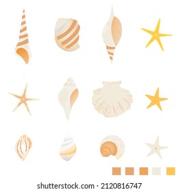 colourful seashell vector elements for design purposes with colour palette.beach elements editable vector that can be used for various purposes.vector graphic conch,shells,starfish for design.