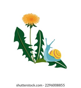 Colourful snail sitting on a dandelion flower and leaves. Hand drawn vector illustration.