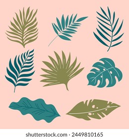 Colourful tropical set of palm leaves. Handdrawn vector design.