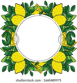 Colourful vector illustration frames. Lemons with leaves.